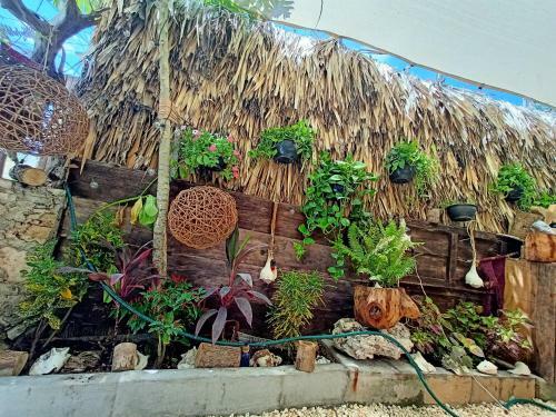 Casa Canarios Holbox