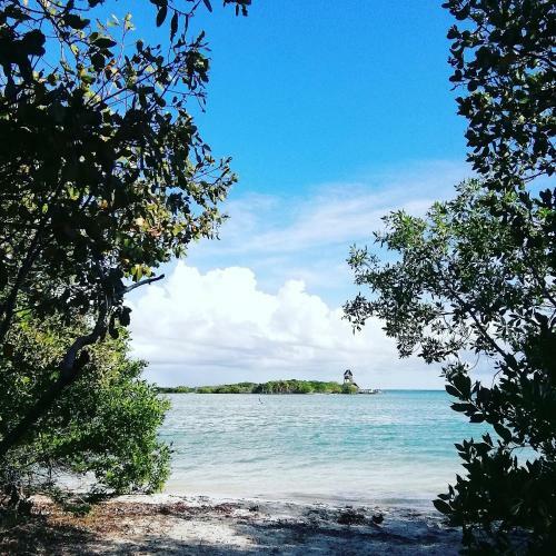 Agroturismo Ecoco Holbox - Eco-chic - Caba�as de Madera - Holbox Retreat