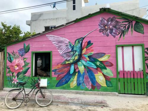 Agroturismo Ecoco Holbox - Eco-chic - Caba�as de Madera - Holbox Retreat