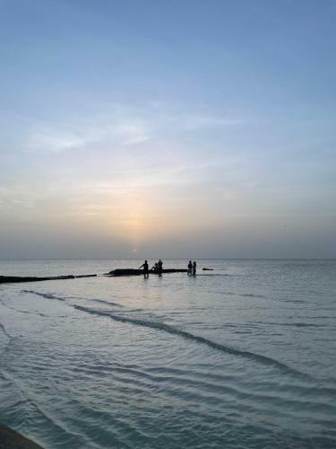 Casa Jaguares 2 Holbox