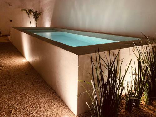 Madre Holbox Apartments & Suites