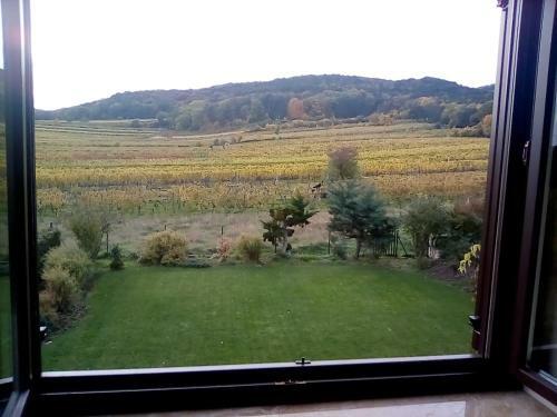 Top Over Vienna, Perchtoldsdorf Weinberge Ideal With Car