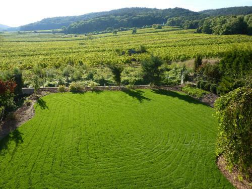 Top Over Vienna, Perchtoldsdorf Weinberge Ideal With Car