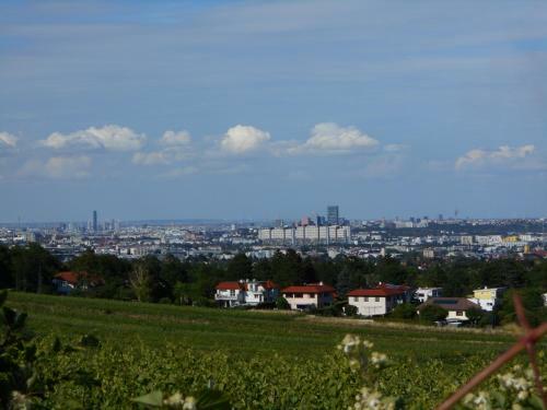 Top Over Vienna, Perchtoldsdorf Weinberge Ideal With Car