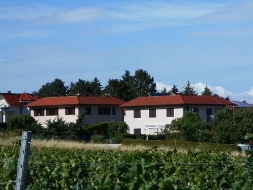 Top Over Vienna, Perchtoldsdorf Weinberge Ideal With Car