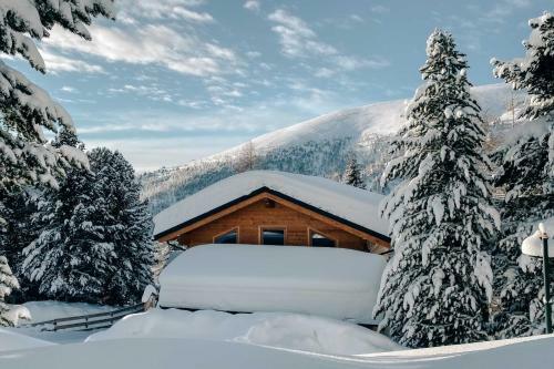 Heidi Chalets Falkert Heidialm - Chalet Almsommer