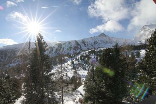 Heidi Chalets Falkert Heidialm - Chalet Almsommer