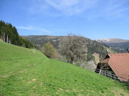 Apartment Berghof Familie Steinwender