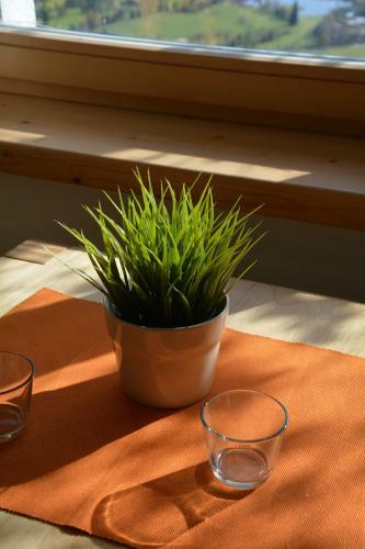 Apartamentos Kirchnerkitz