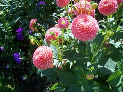 Fernside Bed And Breakfast