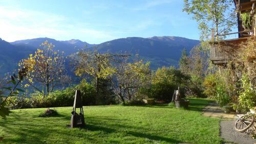 Luxus Chalet M�hlermoos