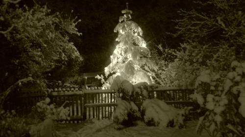 Luxus Chalet M�hlermoos