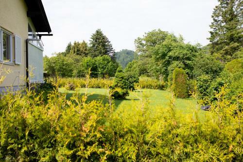 Villa Forellenweg Neu
