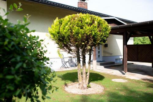 Villa Forellenweg Neu