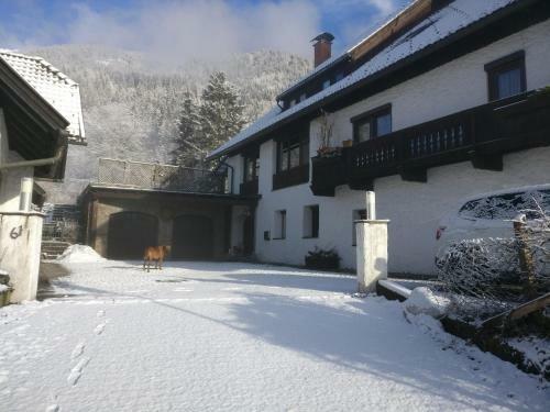 Apartamento Fewo Hauser