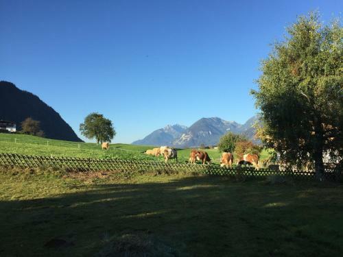 Wohlf�hlchalet Tirol
