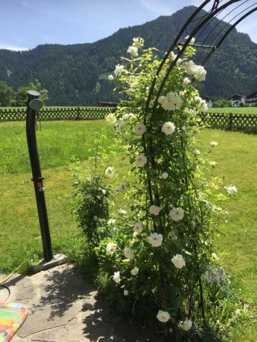 Wohlf�hlchalet Tirol