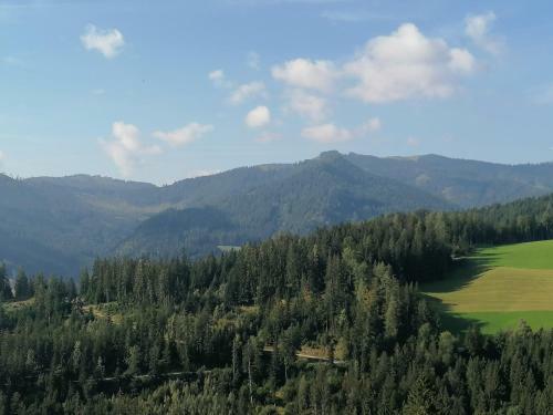 Ferienhaus Stubalpenblick