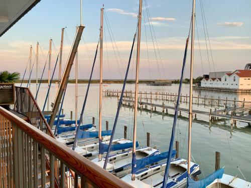 Seeh�tte Neusiedlersee - Urlaub Am Wasser