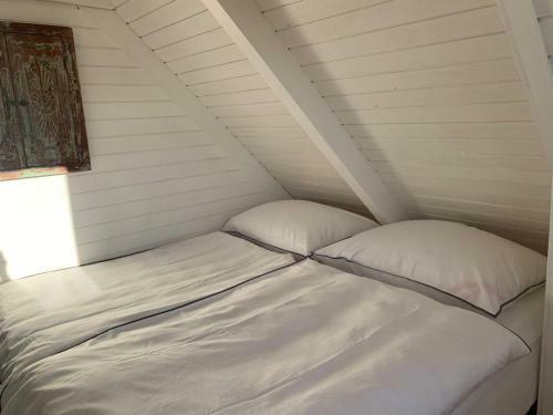 Seeh�tte Neusiedlersee - Urlaub Am Wasser