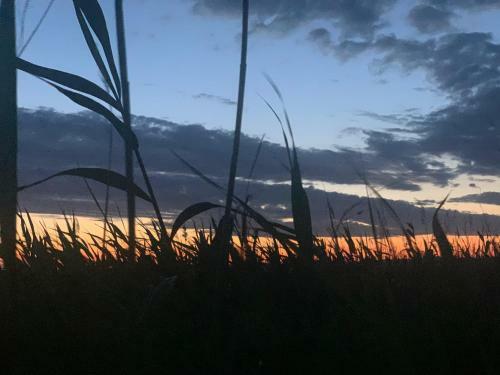 Seeh�tte Neusiedlersee - Urlaub Am Wasser