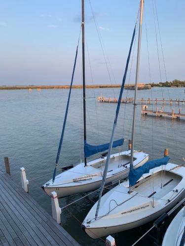 Seeh�tte Neusiedlersee - Urlaub Am Wasser