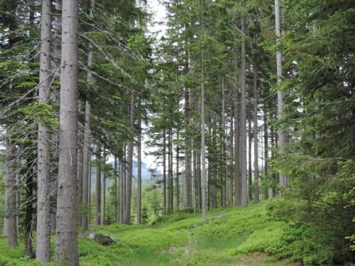 Agroturismo Urlaub Am Bauernhof Grabenhofer