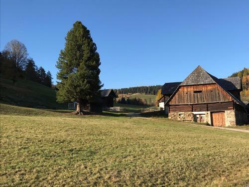 Apartamento Wohlf�hlappartement Kreischberg