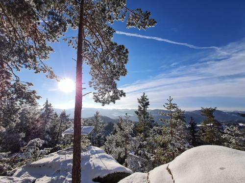 Bed & Breakfast G�stehaus Weitblick