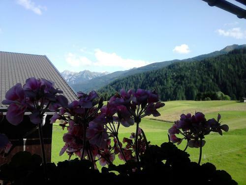 Hostal Pension Anderlehof