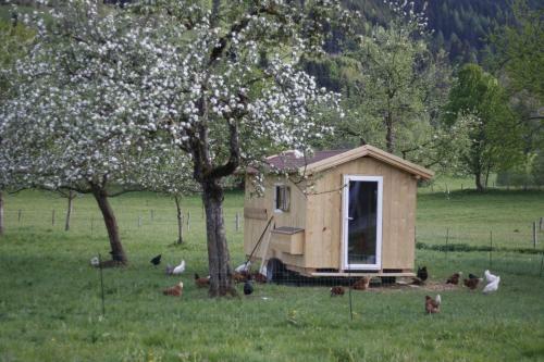Apartamento Biobauernhof Jagglhof