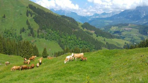 Apartamento Biobauernhof Jagglhof