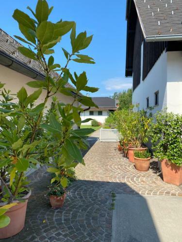 V Landhaus Scherzer