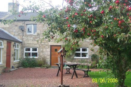 Posada Rose & Thistle Inn