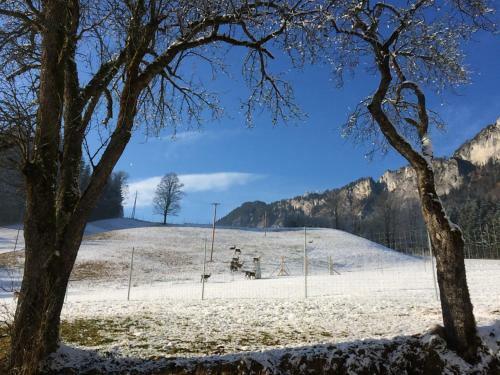 Apartamento Berghof Haselsberger Appartements
