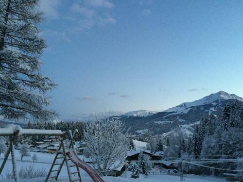 Apartamento Berghof Haselsberger Appartements
