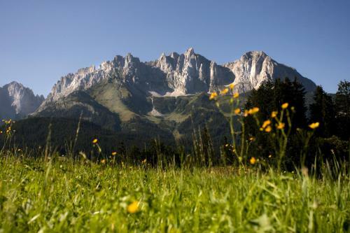 Apartamento Berghof Haselsberger Appartements