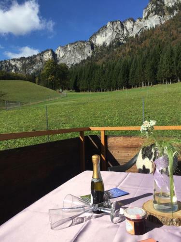 Apartamento Berghof Haselsberger Appartements