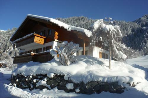 Apartamento Netzer Annemarie