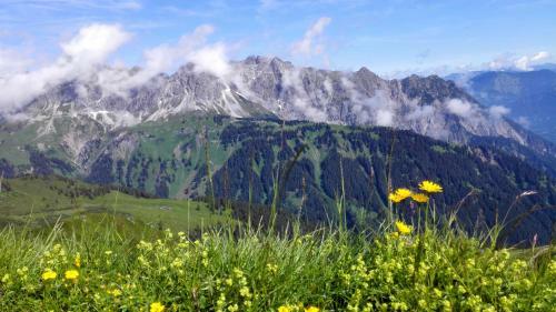 Apartamento Aktiv-ferienwohnungen Montafon