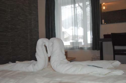 Hostal Alpinpelso