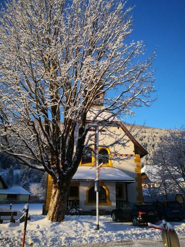 Hostal Alpinpelso