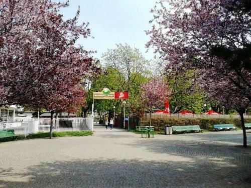 Modern Apartment Riegrovy Sady