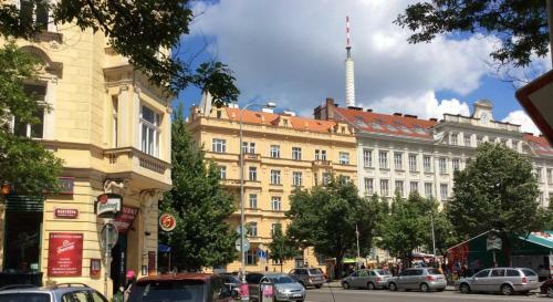 Modern Apartment Riegrovy Sady