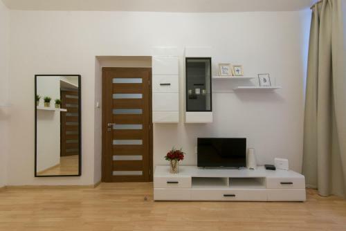Spacious Apartment Near Wenceslas Square