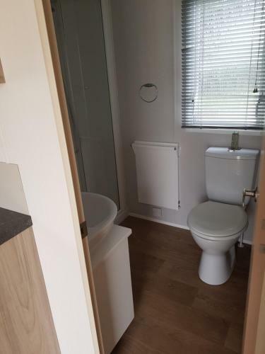 Haven Haggerston