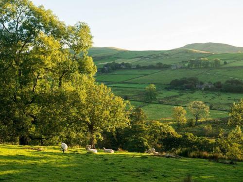 Sycamore Cottage At Naze Farm -uk32762