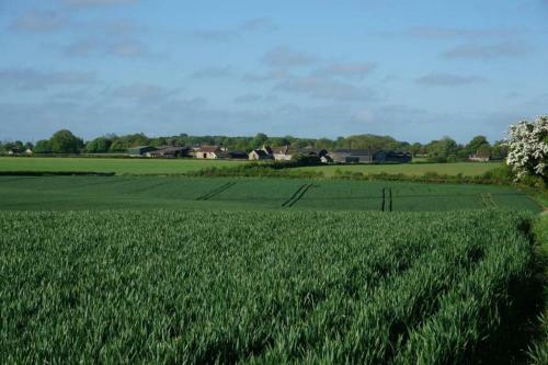 Apartamento Field View - In A Beautiful Cotswold Farmhouse