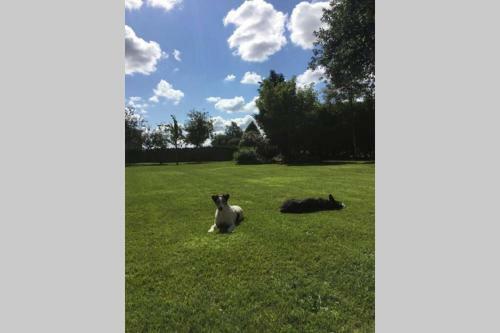 Apartamento Field View - In A Beautiful Cotswold Farmhouse