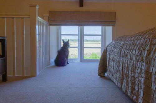 Apartamento Field View - In A Beautiful Cotswold Farmhouse